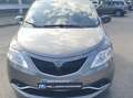 Lancia Ypsilon 1.2 Gold 69cv ideale x neopatentati Grigio - thumbnail 12