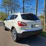 Nissan Qashqai Qashqai Diesel 1.5 dCi DPF 360 Leder Pano Xenon Weiß - thumbnail 13