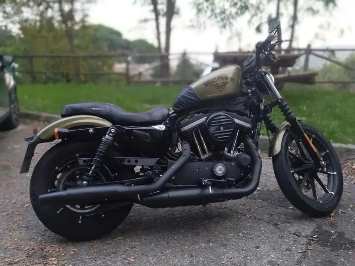 Harley-Davidson Iron 883 Bronz - 1