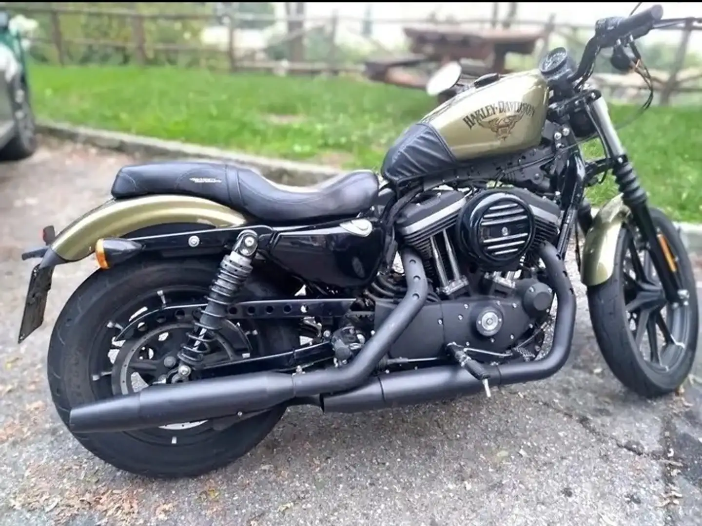 Harley-Davidson Iron 883 Bronz - 2
