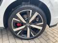 Volkswagen Golf GTE VIII 1.5 eHybrid GTE Weiß - thumbnail 12