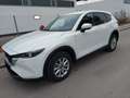 Mazda CX-5 CX-5 e-SKYACTIV-G 194 Aut. Exclusive-Line Weiß - thumbnail 2