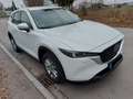 Mazda CX-5 CX-5 e-SKYACTIV-G 194 Aut. Exclusive-Line Weiß - thumbnail 1