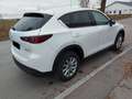 Mazda CX-5 CX-5 e-SKYACTIV-G 194 Aut. Exclusive-Line Weiß - thumbnail 4
