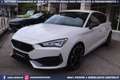 CUPRA Leon VZ 2.0 TSI DSG 5p 300CV Weiß - thumbnail 19