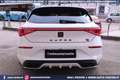 CUPRA Leon VZ 2.0 TSI DSG 5p 300CV Weiß - thumbnail 6