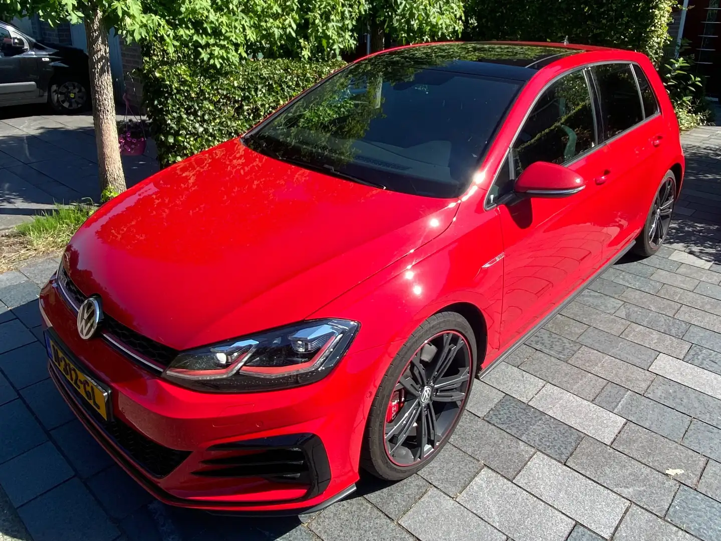 Volkswagen Golf GTI Golf 2.0 TSI GTI Perf. Pano / Virt. Cockpit Dyno Red - 2