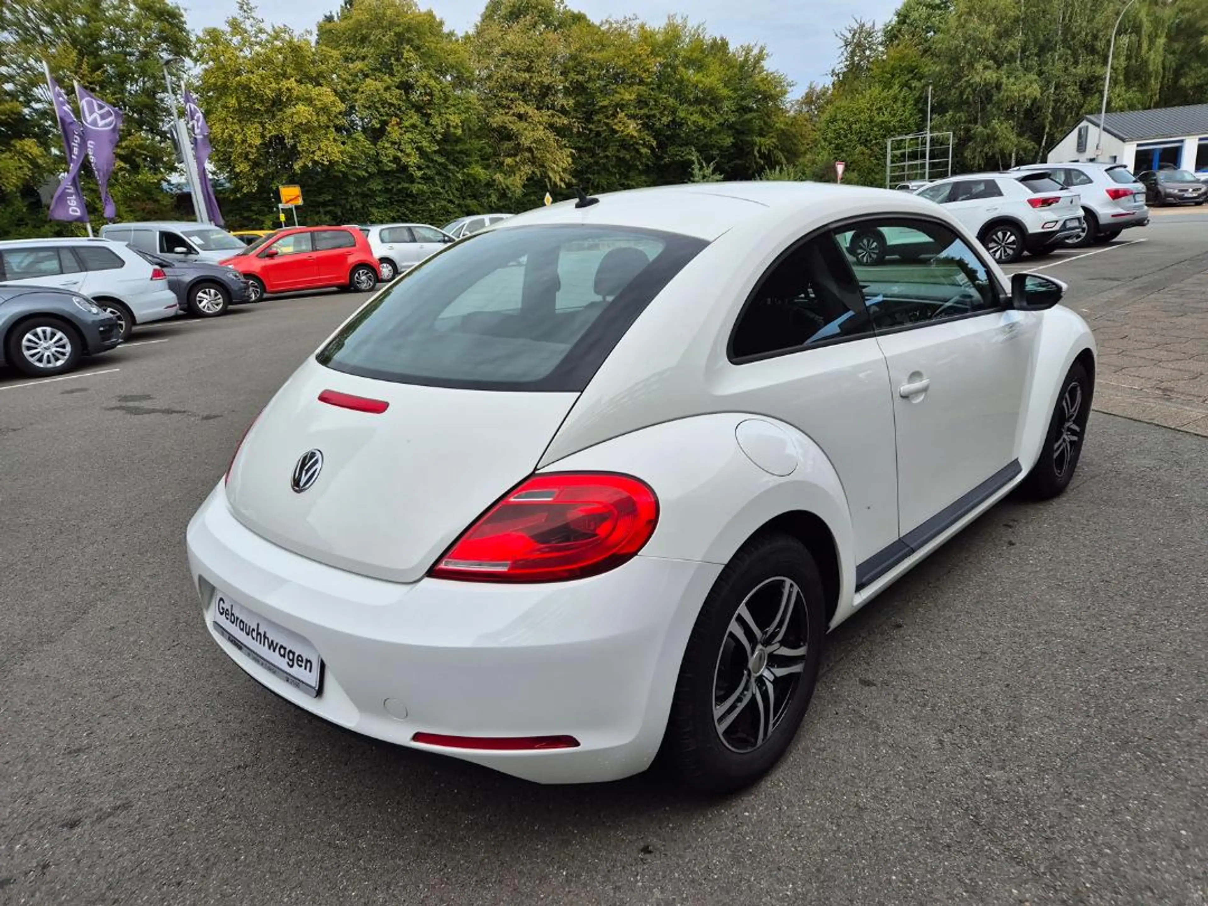 Volkswagen Beetle Basis-Modell 1.2 TSI Alu Sitzheizung — photo 12