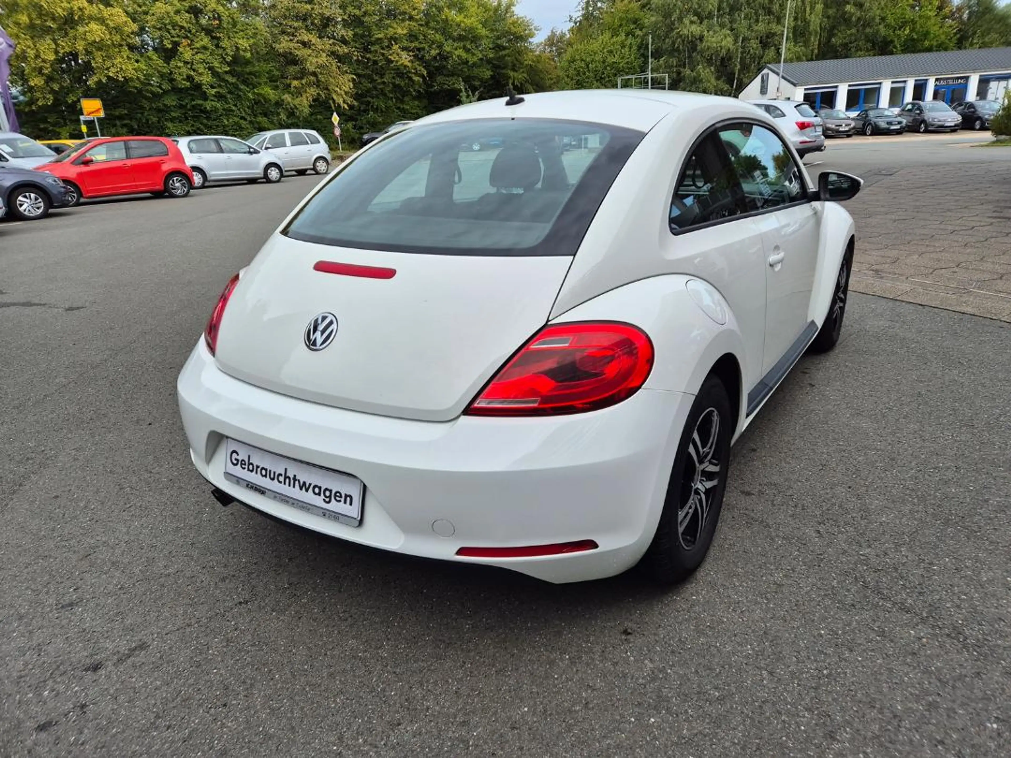 Volkswagen Beetle Basis-Modell 1.2 TSI Alu Sitzheizung — photo 14