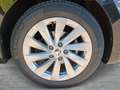 Skoda Octavia Selection TDI DSG Schwarz - thumbnail 7