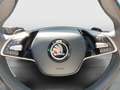 Skoda Octavia Selection TDI DSG Schwarz - thumbnail 24