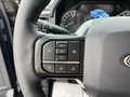 Ford F 150 TREMOR SUPERCREW V6 3,5L EcoBoost Bleu - thumbnail 19