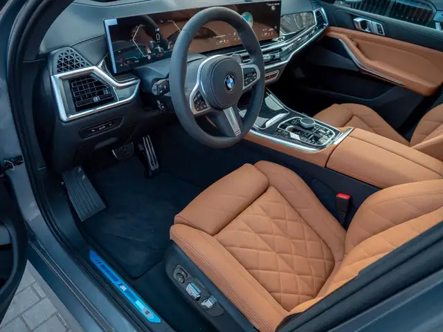 BMW X5 view 11