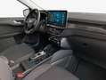 Ford Kuga 2.5 Duratec FHEV TITANIUM Weiß - thumbnail 10