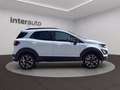 Ford EcoSport 1.0 ecoboost Active s&s 125cv Weiß - thumbnail 13