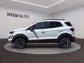 Ford EcoSport 1.0 ecoboost Active s&s 125cv Weiß - thumbnail 4