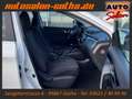 Nissan Qashqai Acenta+ 1.6 DCi AHK+CAM NAVI DAB SHZ 17" Weiß - thumbnail 8