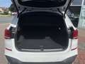 BMW X1 xDrive20i M Sport | NaviPlus | Head-Up | Kamera | Blanc - thumbnail 9