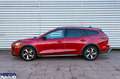 Ford Focus Focus Active SW 1.0 ecoboost h Style 125cv Rosso - thumbnail 2