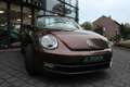 Volkswagen Beetle Cabriolet 1.2 TSI Design BlueMotion Automaat Navi/ Brun - thumbnail 11