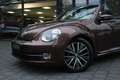 Volkswagen Beetle Cabriolet 1.2 TSI Design BlueMotion Automaat Navi/ Brun - thumbnail 9