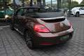 Volkswagen Beetle Cabriolet 1.2 TSI Design BlueMotion Automaat Navi/ Brun - thumbnail 16