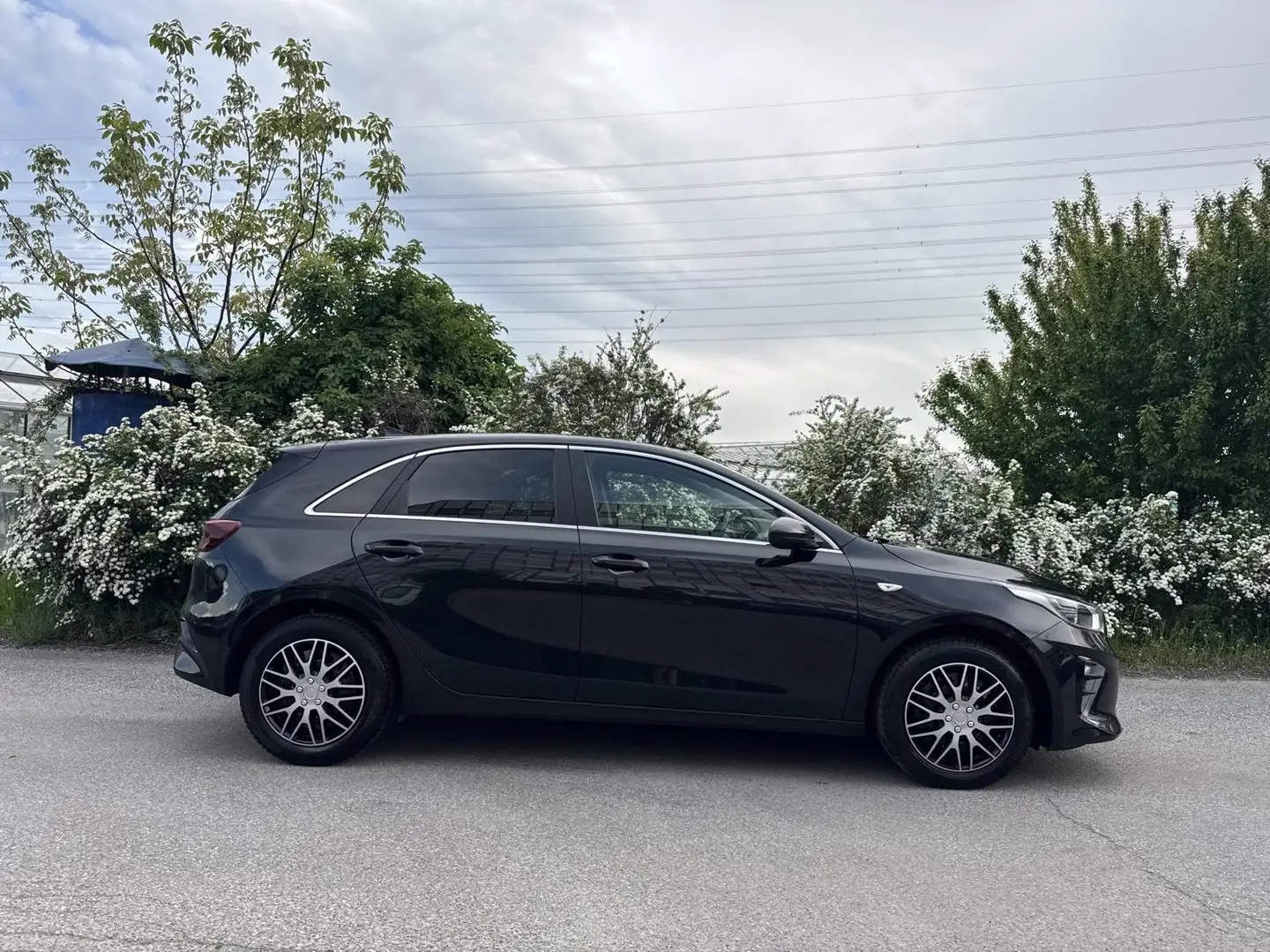 Kia Ceed / cee'd 1,5 TGDI Silber MHEV CarPlay RKamera Lane-Assist Schwarz - 2