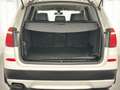 BMW X3 xDrive 20 d 360° Kamera AHK HUD Memory Weiß - thumbnail 47