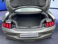 Ford Mustang Fastback 5.0 V8 Dark Horse Gris - thumbnail 7