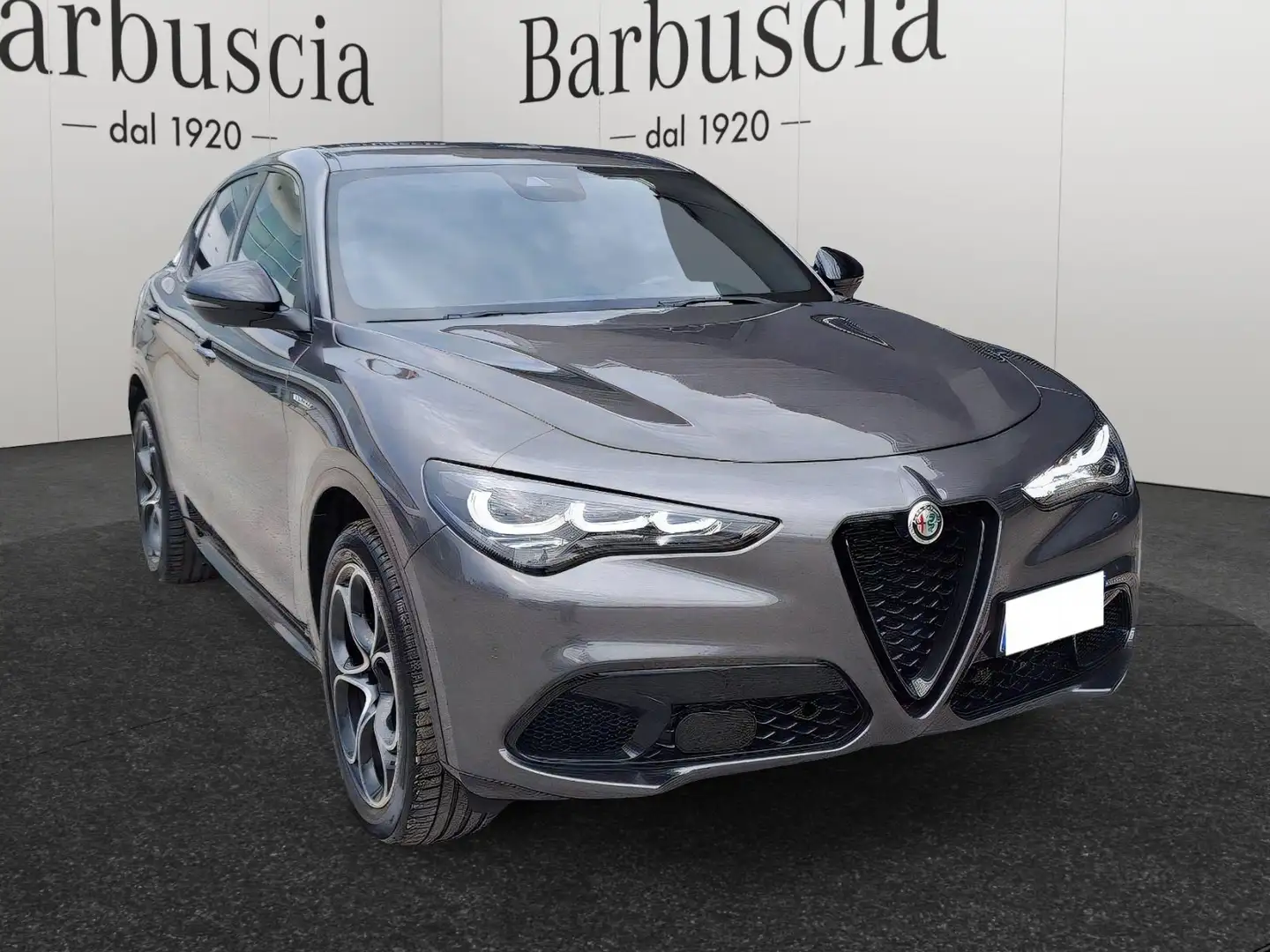 Alfa Romeo Stelvio 2023 - 2.2 t Veloce Q4 210cv auto Grigio - 1