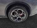 Alfa Romeo Stelvio 2023 - 2.2 t Veloce Q4 210cv auto Grigio - thumbnail 13