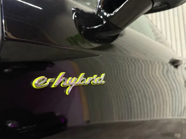 Porsche Panamera 4 E-Hybrid PANORAMA 21''TURBO AMB BOSE BELÜFT Ansicht 12