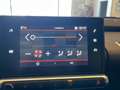 Citroen C4 Cactus BlueHDi 100 S&S Live Wit - thumbnail 20