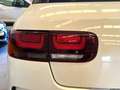 Citroen C4 Cactus BlueHDi 100 S&S Live Wit - thumbnail 17