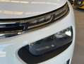 Citroen C4 Cactus BlueHDi 100 S&S Live Wit - thumbnail 16