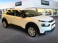 Citroen C4 Cactus BlueHDi 100 S&S Live Wit - thumbnail 3