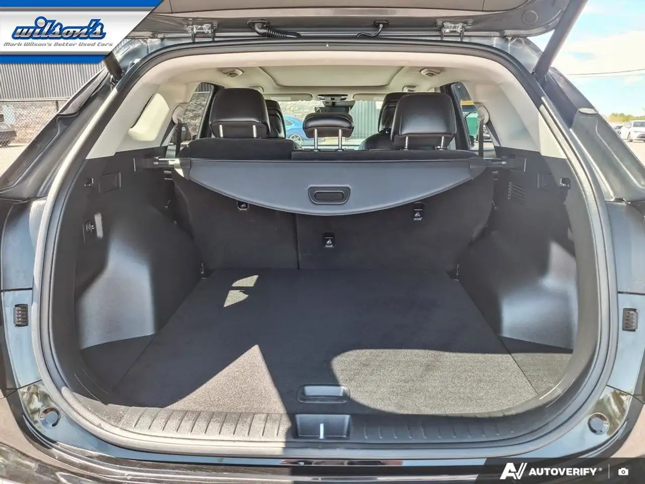 Kia Sportage photo Kia Sportage