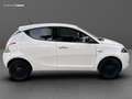 Lancia Ypsilon 1.2 Silver ecochic Gpl 69cv Blanc - thumbnail 4