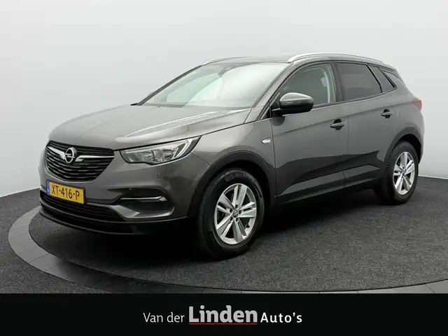 Opel Grandland X 1.2 Turbo Business + | Trekhaak | Camera | Navigat
