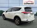 Toyota RAV 4 2.0 D-4D 4x2 Edition-S Navi,Voll-LED,Sitzhzg.,ACC Wit - thumbnail 5