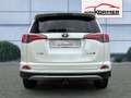Toyota RAV 4 2.0 D-4D 4x2 Edition-S Navi,Voll-LED,Sitzhzg.,ACC Wit - thumbnail 3