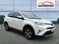 Toyota RAV 4 2.0 D-4D 4x2 Edition-S Navi,Voll-LED,Sitzhzg.,ACC Wit - thumbnail 1