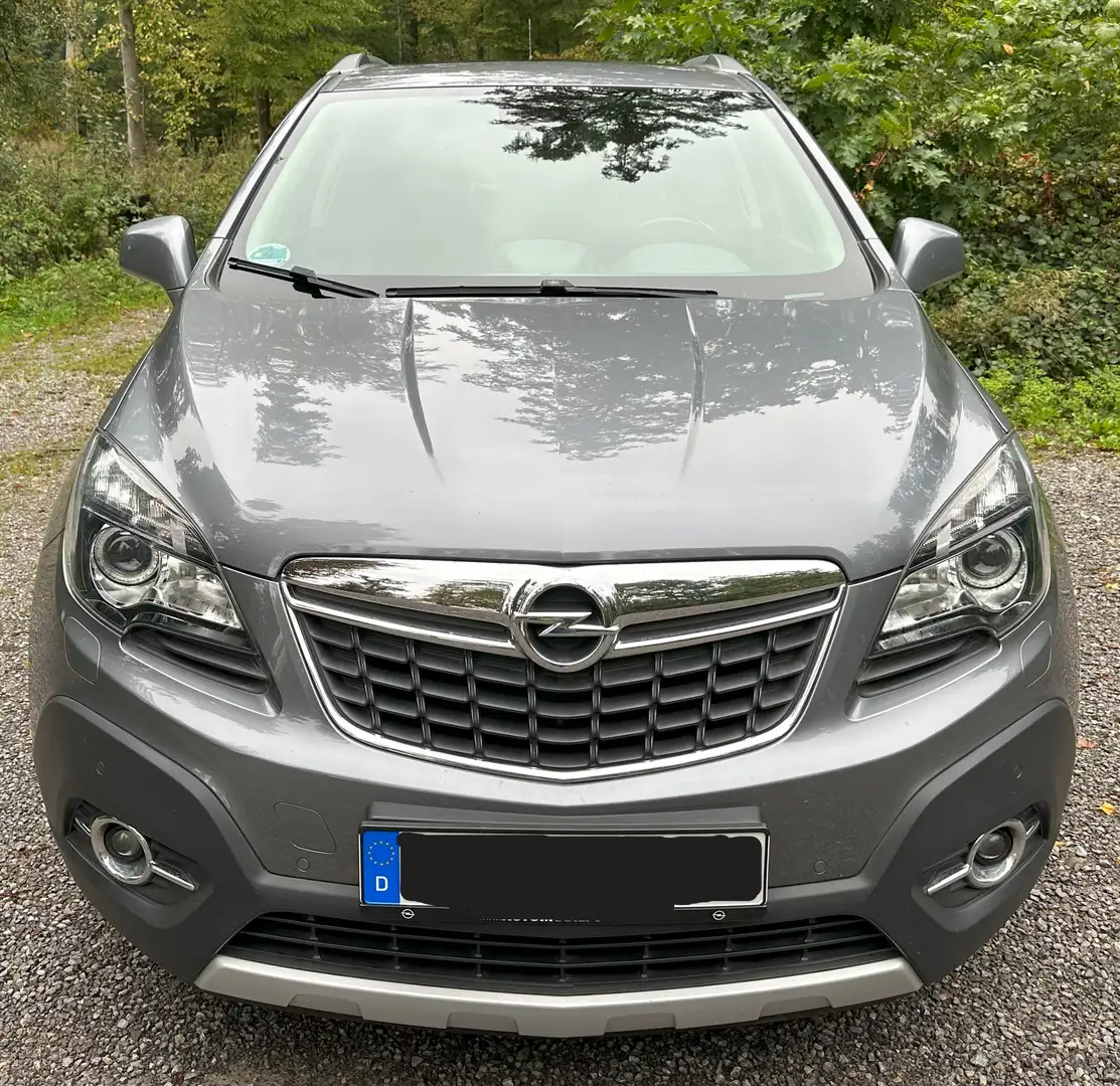 Opel Mokka Mokka 1.4 Turbo ecoFLEX Start/Stop 4x4 Innovation Grau - 2