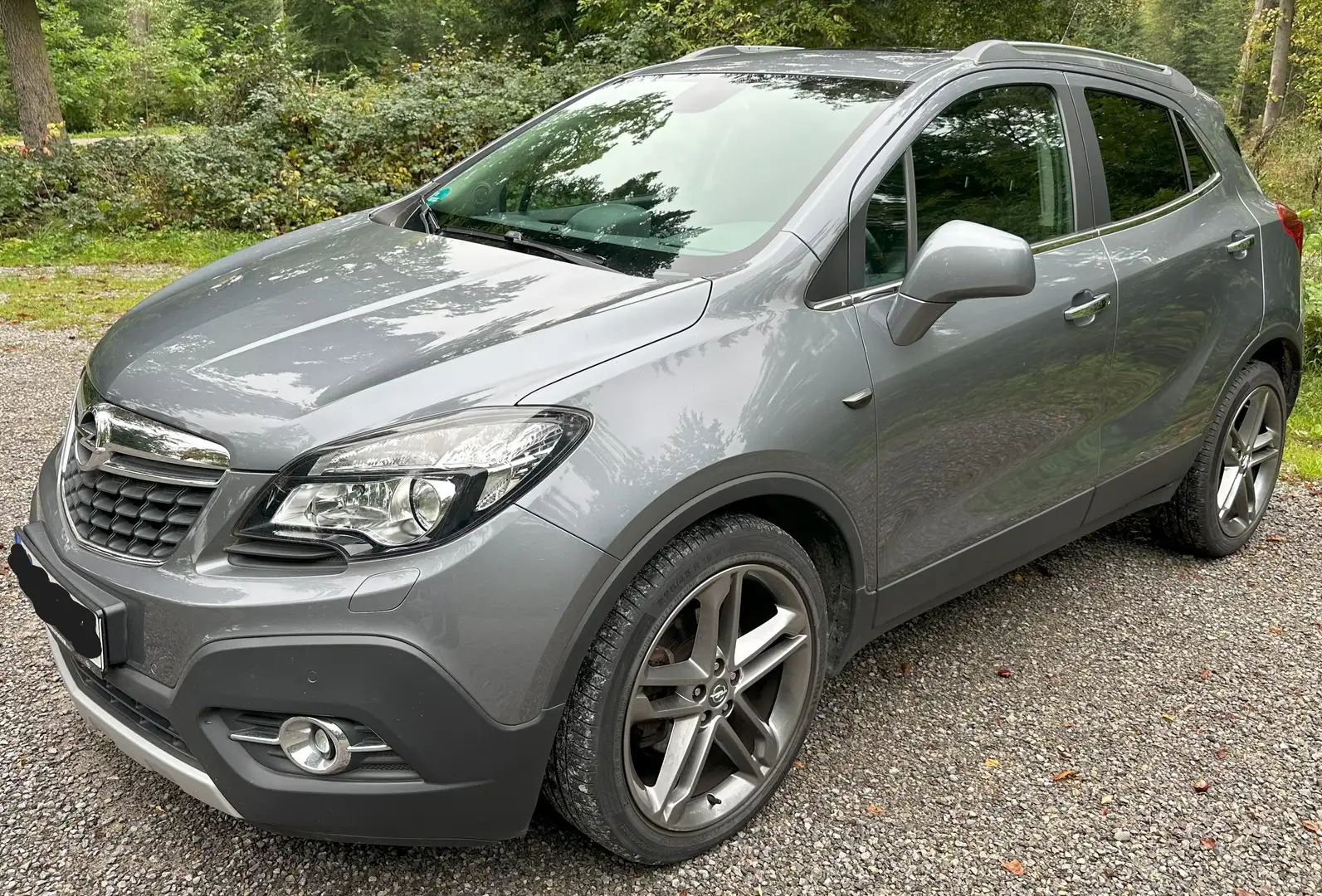Opel Mokka Mokka 1.4 Turbo ecoFLEX Start/Stop 4x4 Innovation Grau - 1