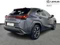Lexus UX 250h Privilege Line & Mark Levinson Noir - thumbnail 17