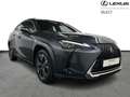 Lexus UX 250h Privilege Line & Mark Levinson Noir - thumbnail 18