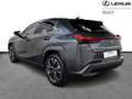 Lexus UX 250h Privilege Line & Mark Levinson Noir - thumbnail 3