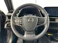 Lexus UX 250h Privilege Line & Mark Levinson Noir - thumbnail 25