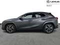 Lexus UX 250h Privilege Line & Mark Levinson Noir - thumbnail 5