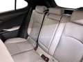 Lexus UX 250h Privilege Line & Mark Levinson Noir - thumbnail 12